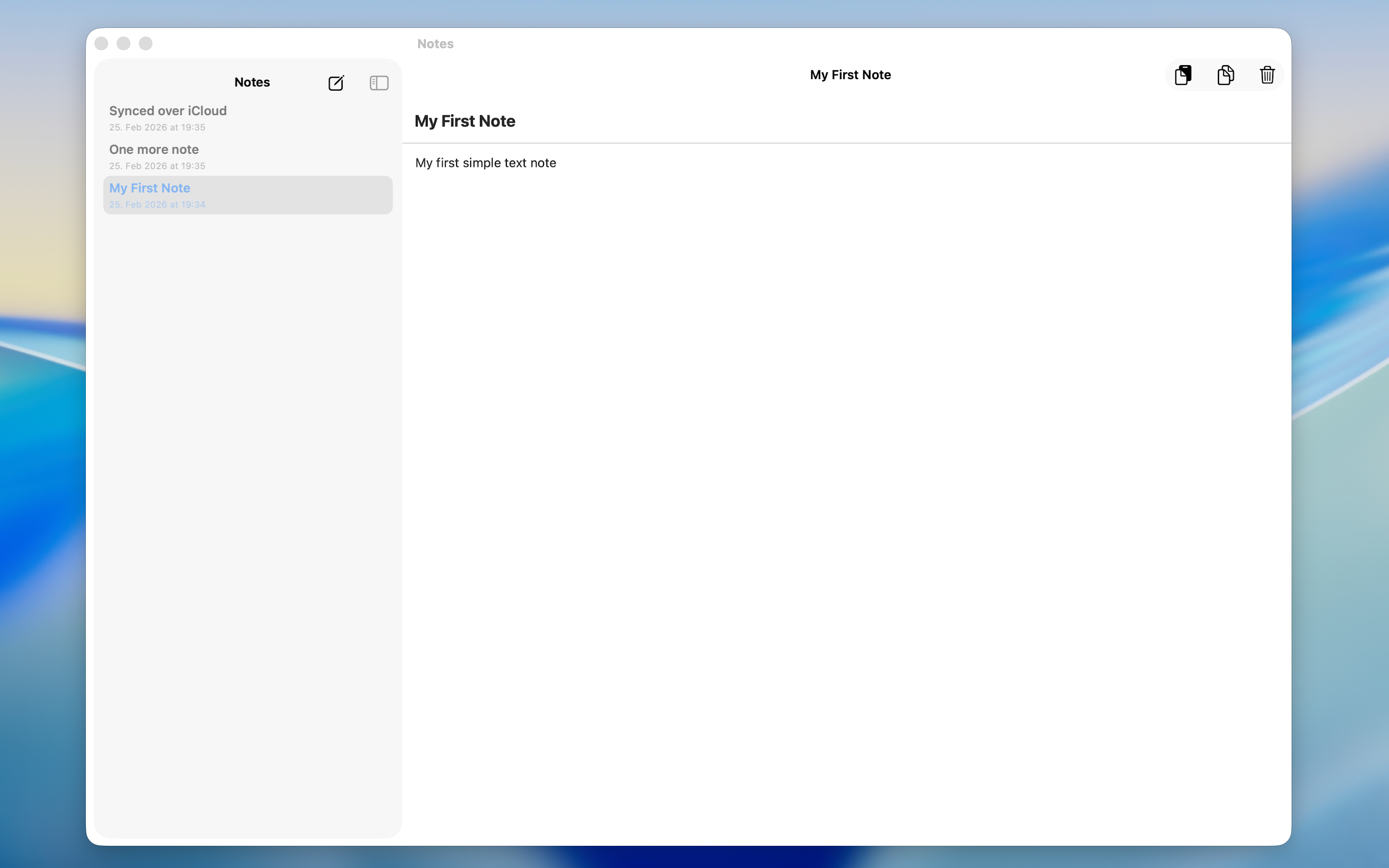 Simple Text Notes – Mac screenshot 1